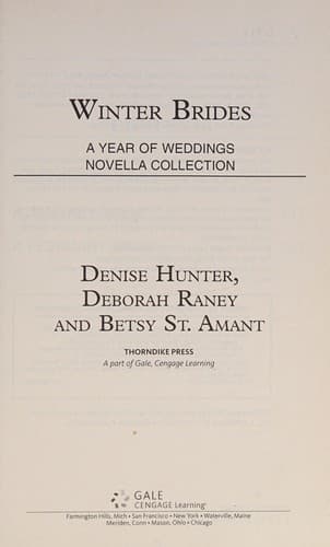 Cover of Winter brides