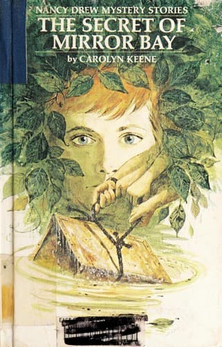 Cover of The secret of Mirror Bay