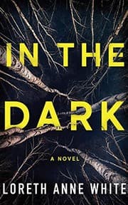 Cover of In the Dark