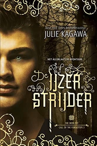 Cover of De ijzerstrijder