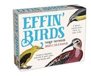 Cover of Effin' Birds 2023 Day-to-Day Calendar