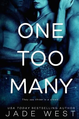 Cover of One Too Many