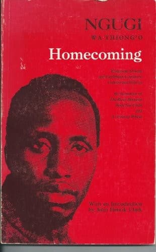 Cover of Homecoming: essays on African and Caribbean literature, culture and politics