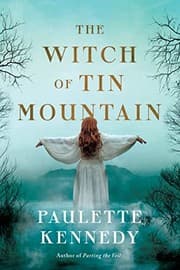Cover of Witch of Tin Mountain