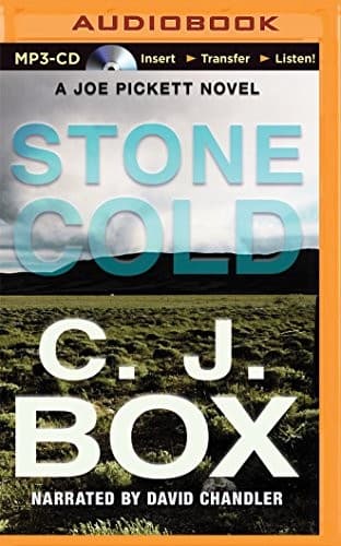 Cover of Stone Cold