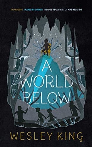 Cover of A World Below