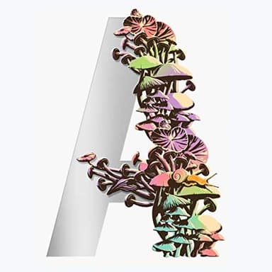 Cover of Ambergris