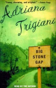 Cover of Big Stone Gap