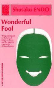 Cover of Wonderful Fool