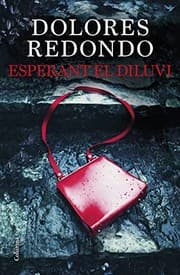 Cover of Esperant el diluvi