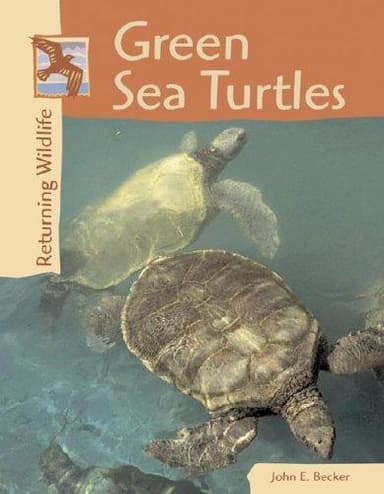 Cover of Returning Wildlife - Green Sea Turtles (Returning Wildlife)