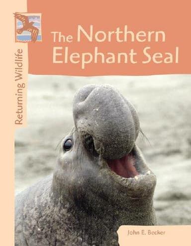 Cover of Returning Wildlife - The Northern Elephant Seal (Returning Wildlife)