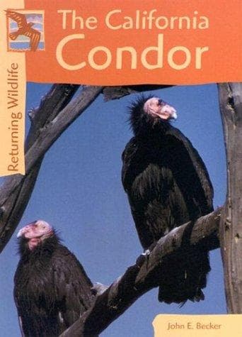 Cover of California Condors (Returning Wildlife)