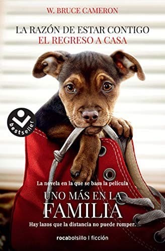 Cover of La razón de estar contigo. El regreso a casa