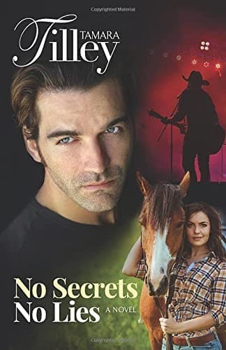 Cover of No Secrets No Lies