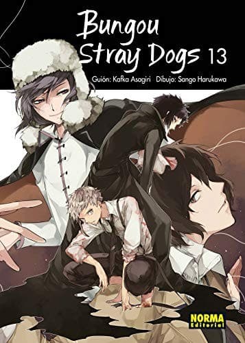 Cover of Bungou Stray Dogs 13