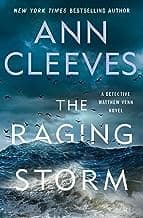 Cover of Raging Storm