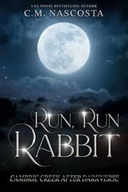 Cover of Run, Run Rabbit