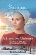 Cover of Haven for Christmas