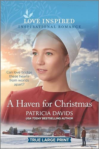 Cover of Haven for Christmas
