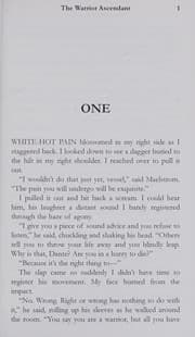 Cover of The Warrior Ascendant