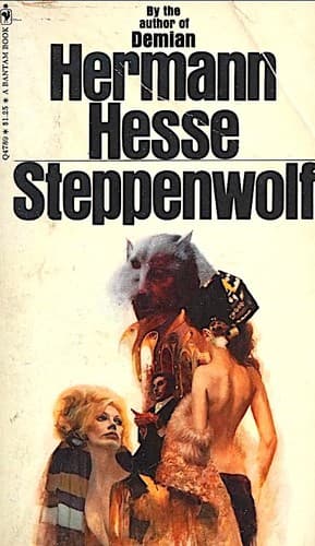 Cover of Der Steppenwolf