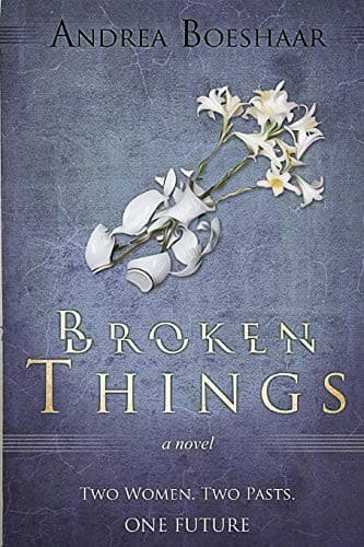 Cover of Broken Things