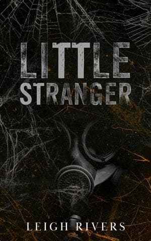 Cover of Little Stranger