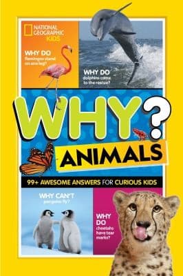 Cover of Animals