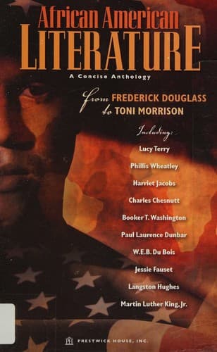 Cover of African American Literature