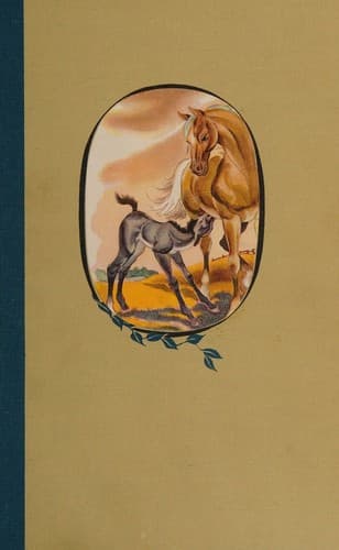 Cover of Black Beauty Illustrated Junior Library