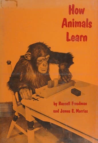 Cover of How animals learn