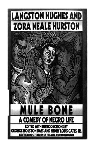 Cover of Mule Bone A Comedy Of Negro Life