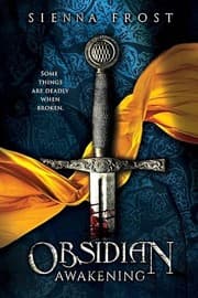 Cover of Obsidian T.1