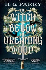 Cover of The Witch Below the Dreaming Wood