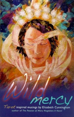 Cover of Wild Mercy