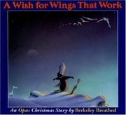 Cover of A Wish for Wings That Work