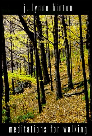 Cover of Meditations for walking