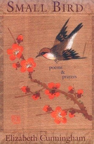 Cover of Small bird