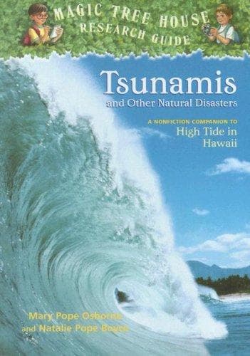 Cover of Tsunamis and Other Natural Disasters