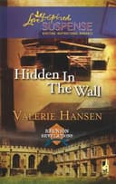 Cover of Hidden in the Wall (Reunion Revelations, Book 1)