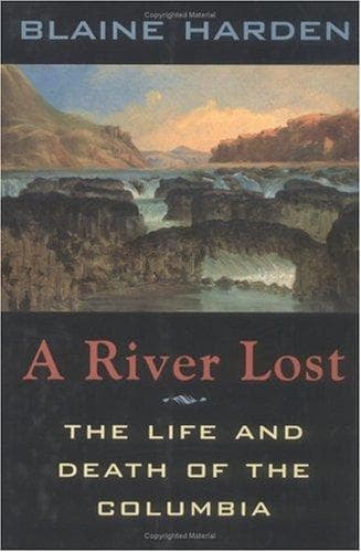 Cover of River Lost
