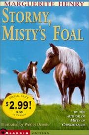 Cover of Stormy, Misty's Foal (Misty #3)