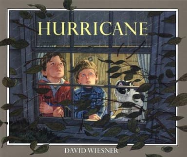 Cover of Hurricane (Read-Aloud)
