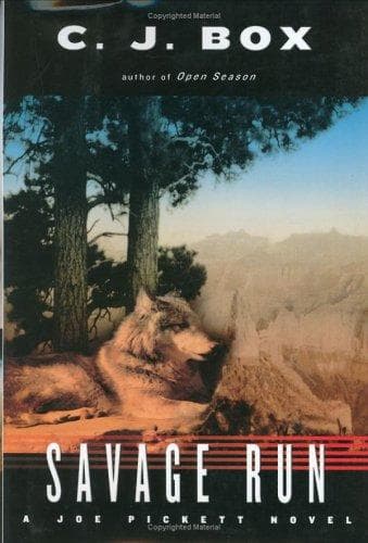 Cover of Savage run