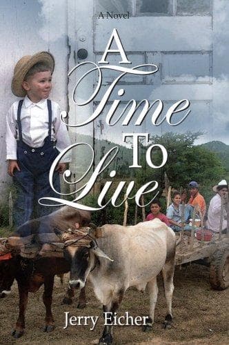 Cover of A Time To Live