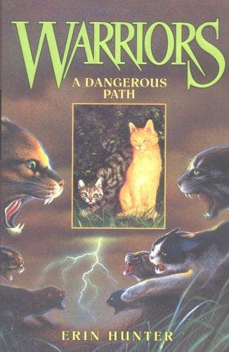 Cover of A Dangerous Path