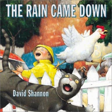 Cover of Rain Came Down