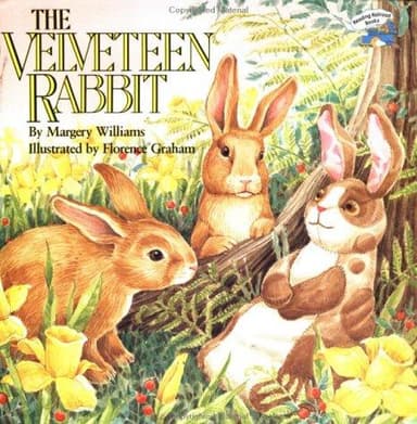 Cover of The Velveteen Rabbit (All Aboard Books)