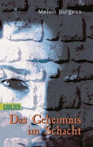 Cover of Das Geheimnis im Schacht